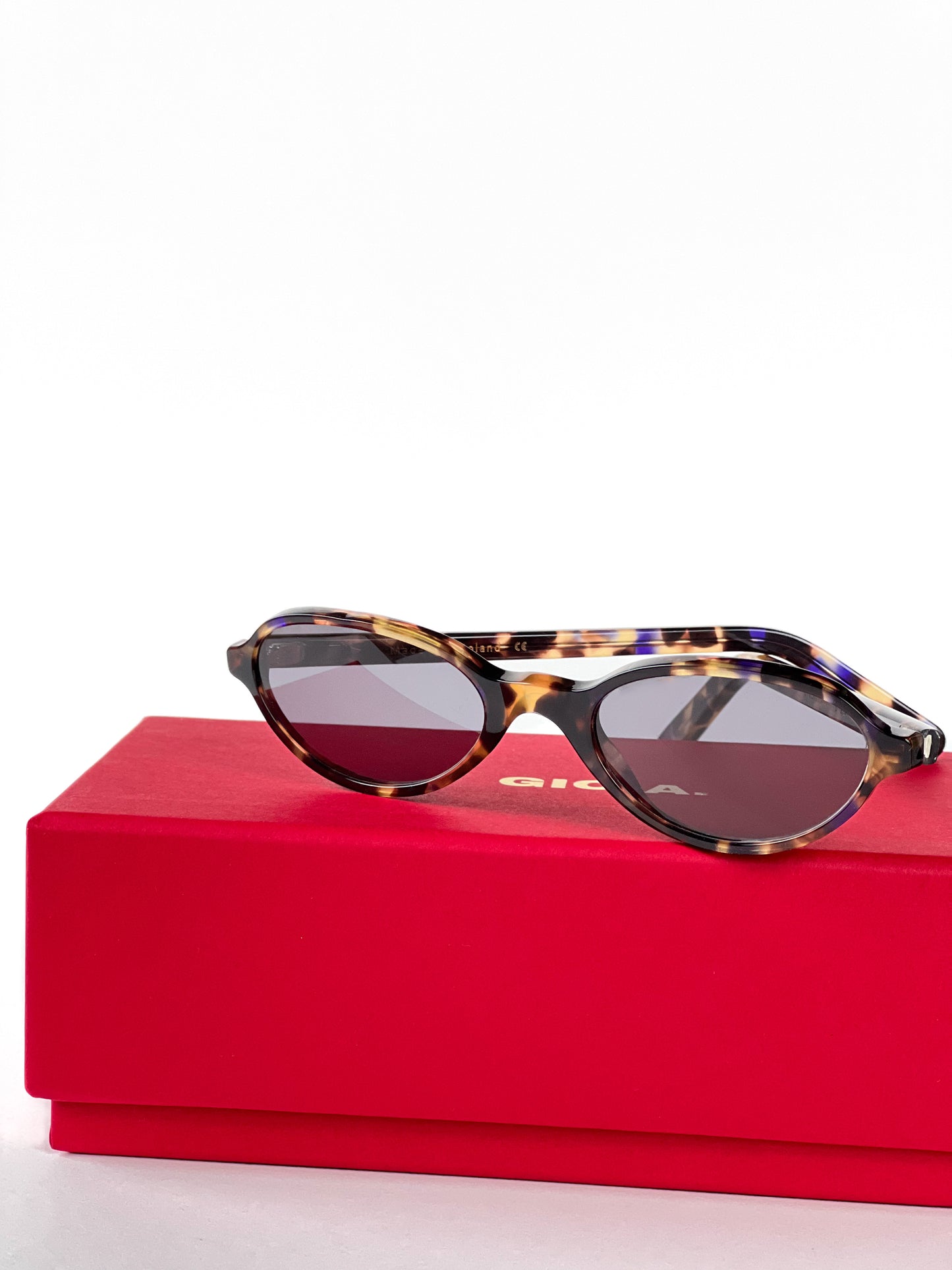 POSITANO TORTOISE