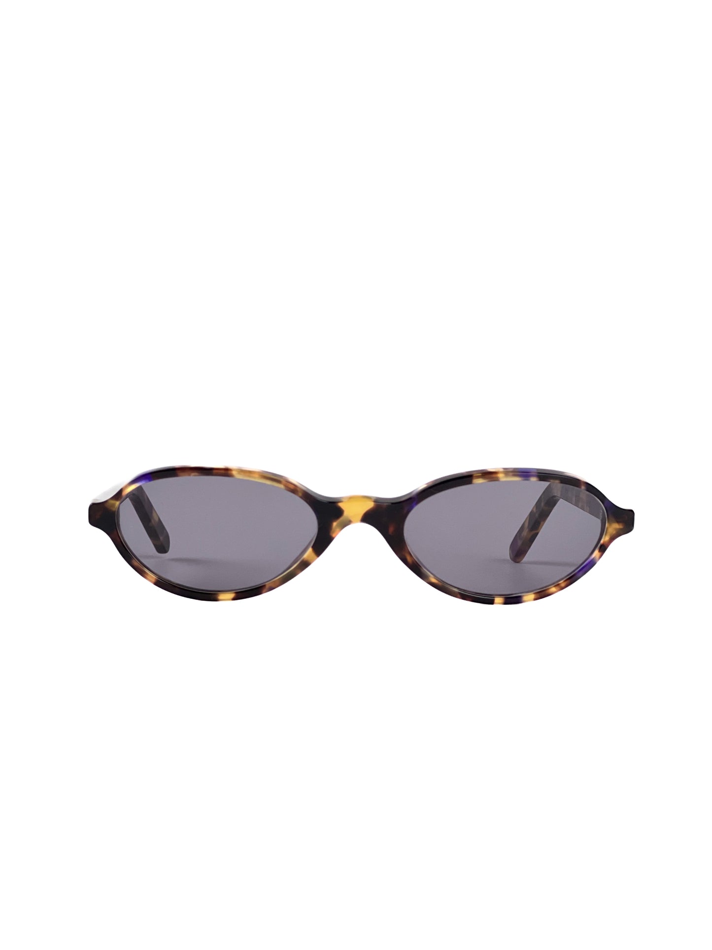 POSITANO TORTOISE