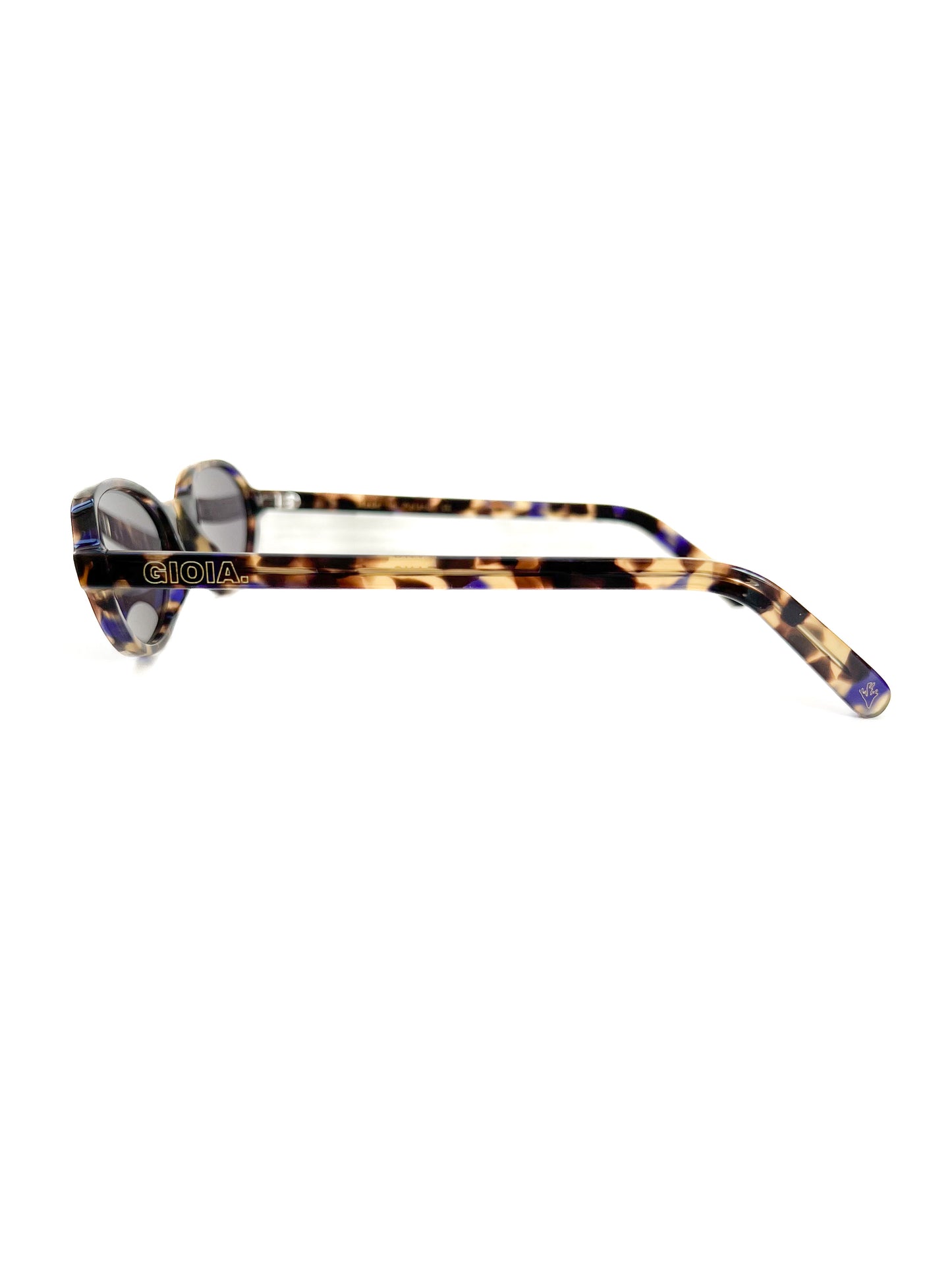 POSITANO TORTOISE
